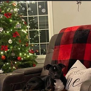 Meet your Posher, Emma